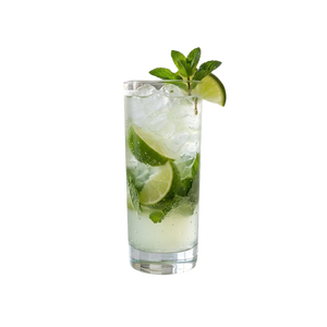 Virgin Mojito