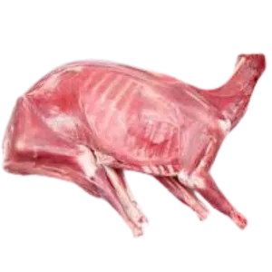 Viande de chameau